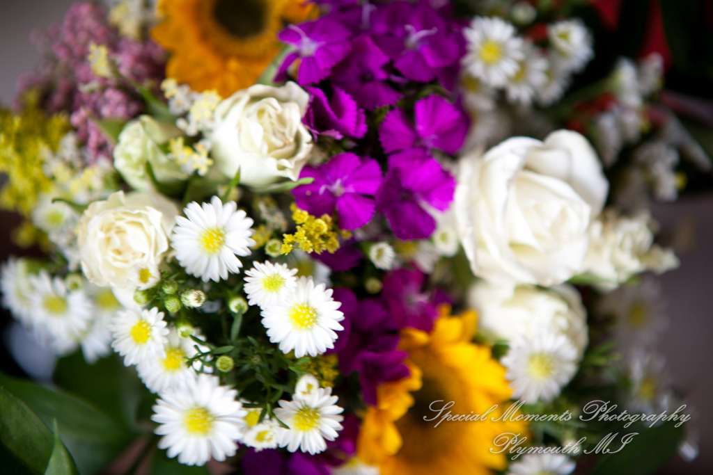 Alisha & Jacob at Plymouth Township Park Plymouth MI wedding photography