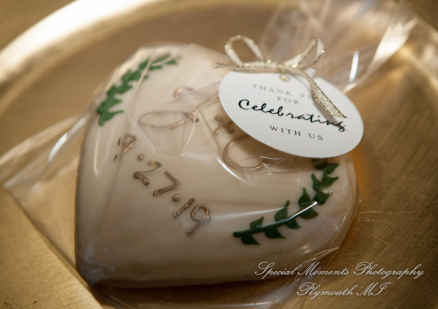 Belle Isle Casino Detroit MI wedding photograph