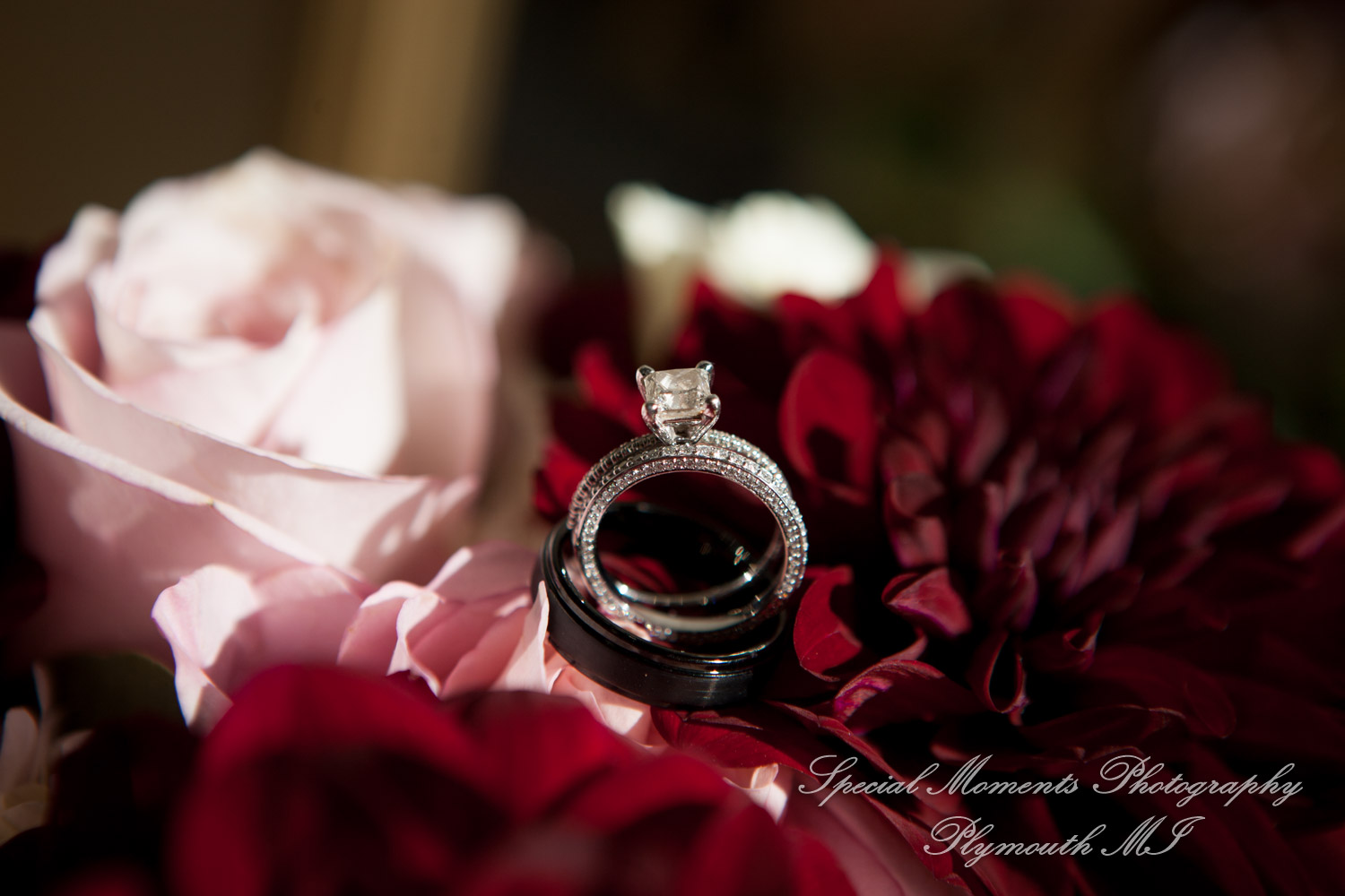 Belle Isle Casino Detroit MI wedding photograph