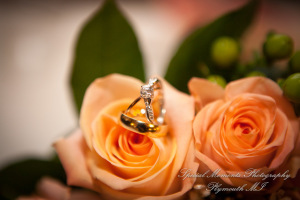 Alisha & Jacob at Plymouth Manor Banquet Hall Plymouth MI wedding photography