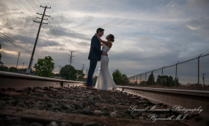 Alisha & Jacob at Plymouth Manor Banquet Hall Plymouth MI wedding photography