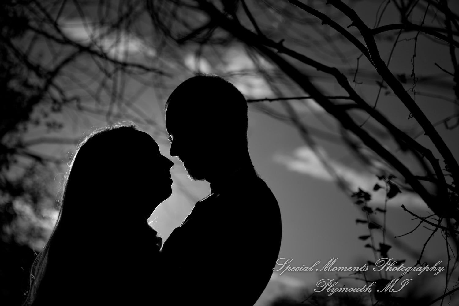 Robert Long Park Commerce MI engagement photograph