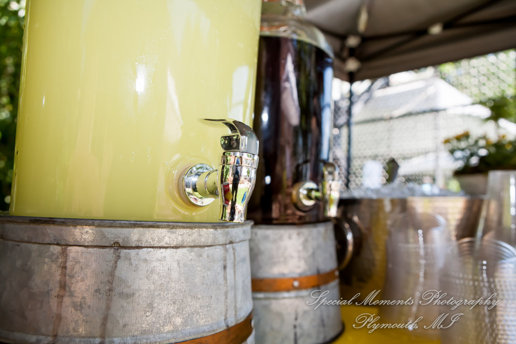 Dona & Paul at Home Allen Park MI wedding photography