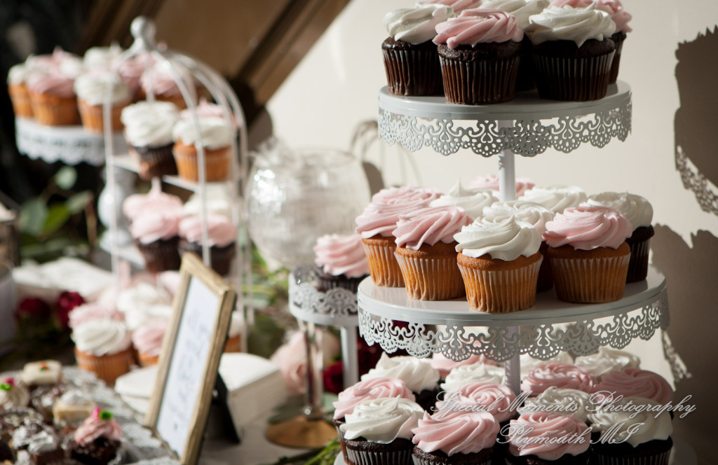 Jessica & Chris at Belle Isle Conservatory Detroit MI wedding photography