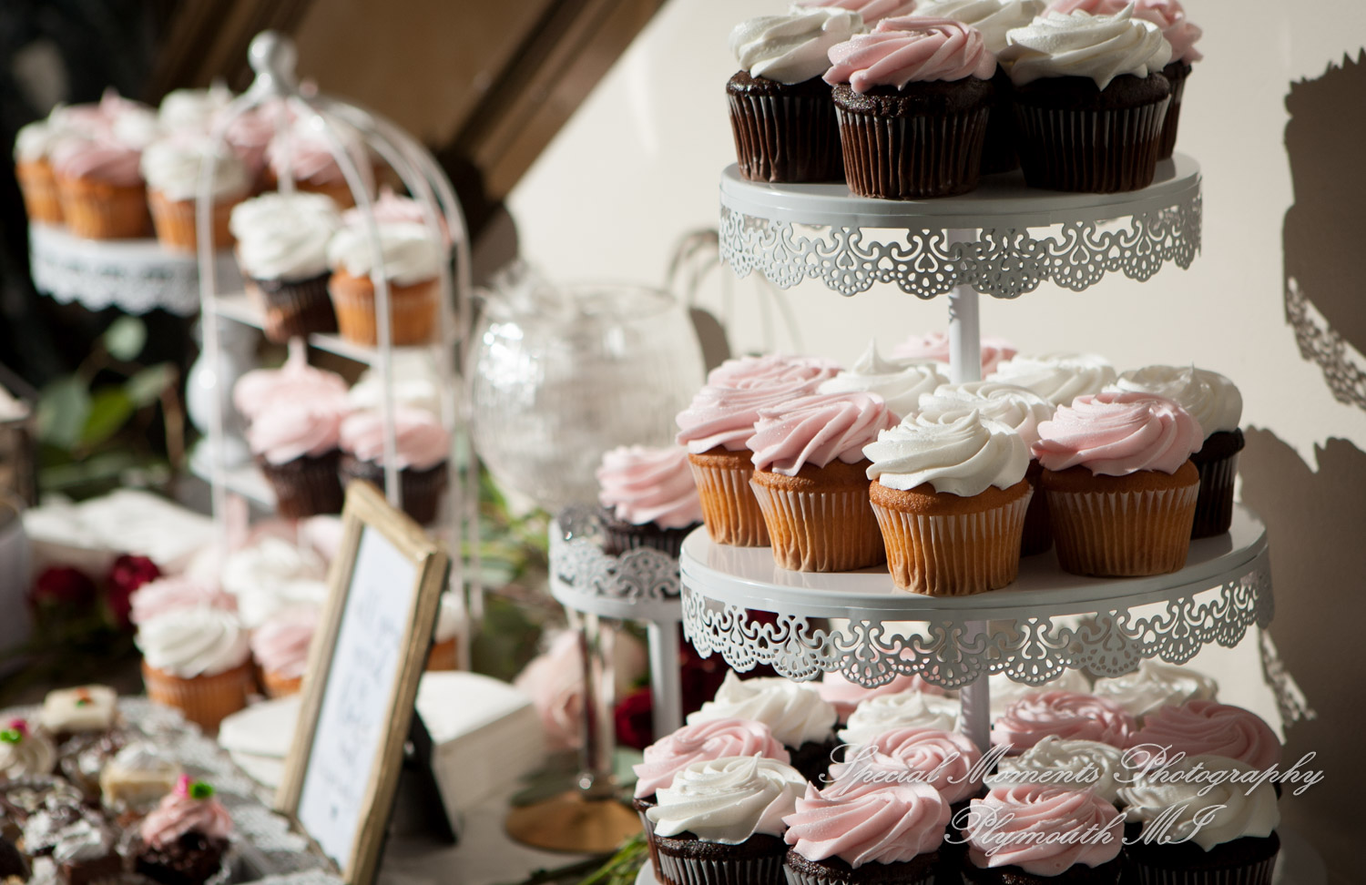 Jessica & Chris at Belle Isle Conservatory Detroit MI wedding photography