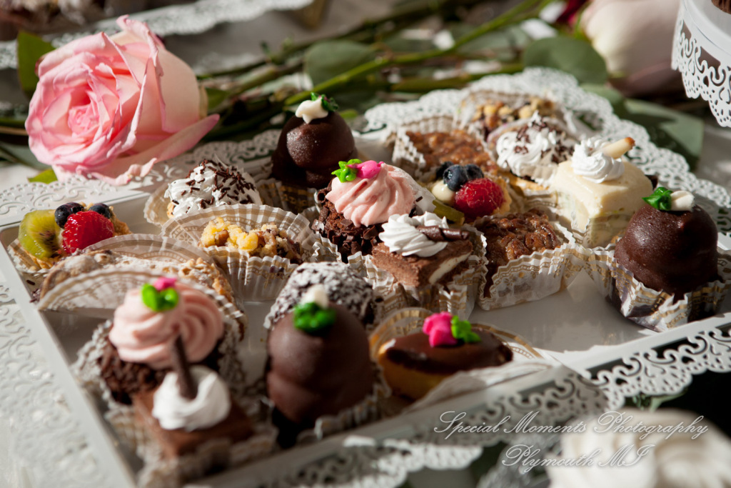 Jessica & Chris at Belle Isle Conservatory Detroit MI wedding photography