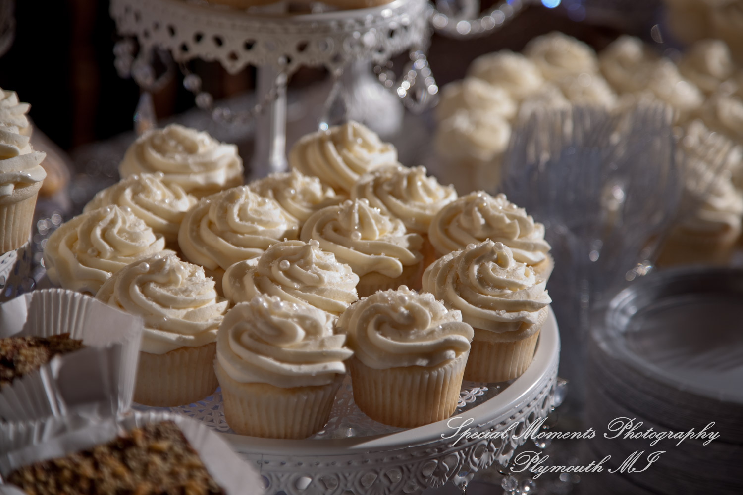 Claire & Paul at Detroit Yacht Club Detroit MI wedding photography