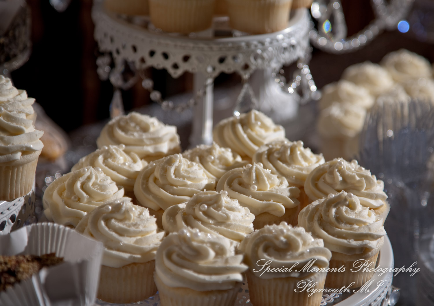 Claire & Paul at Detroit Yacht Club Detroit MI wedding photography