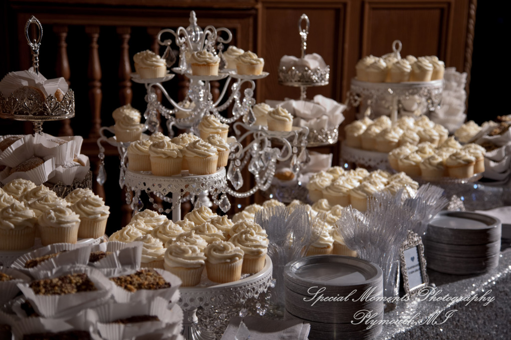 Claire & Paul at Detroit Yacht Club Detroit MI wedding photography