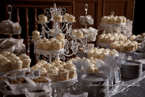 Claire & Paul at Detroit Yacht Club Detroit MI wedding photography