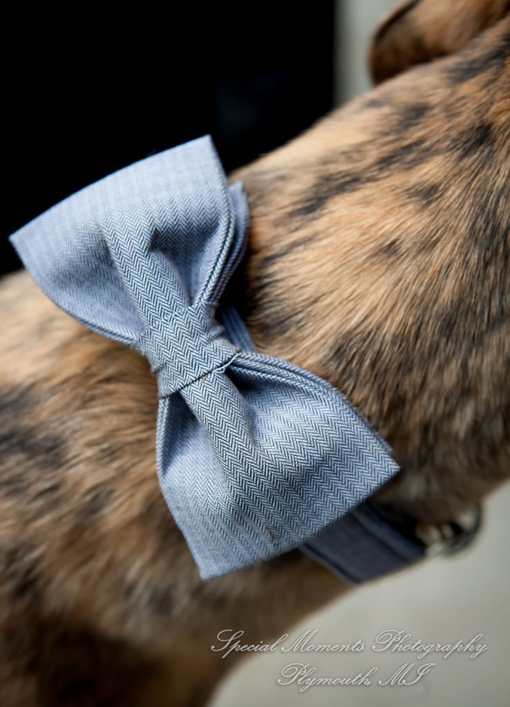 Travis & Jay at Home LGBTQ Wedding Ferndale MI wedding photograph