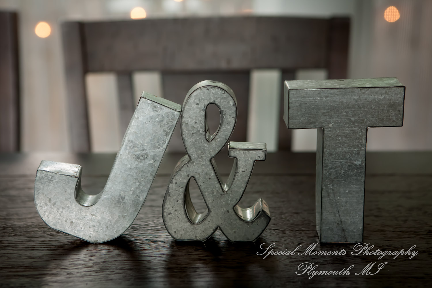 Travis & Jay at Home LGBTQ Wedding Ferndale MI wedding photograph