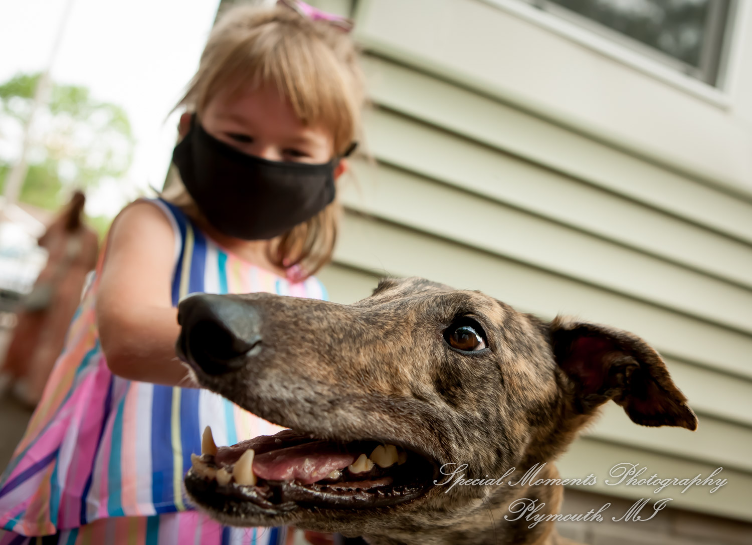 Travis & Jay at Home LGBTQ Wedding Ferndale MI wedding photograph