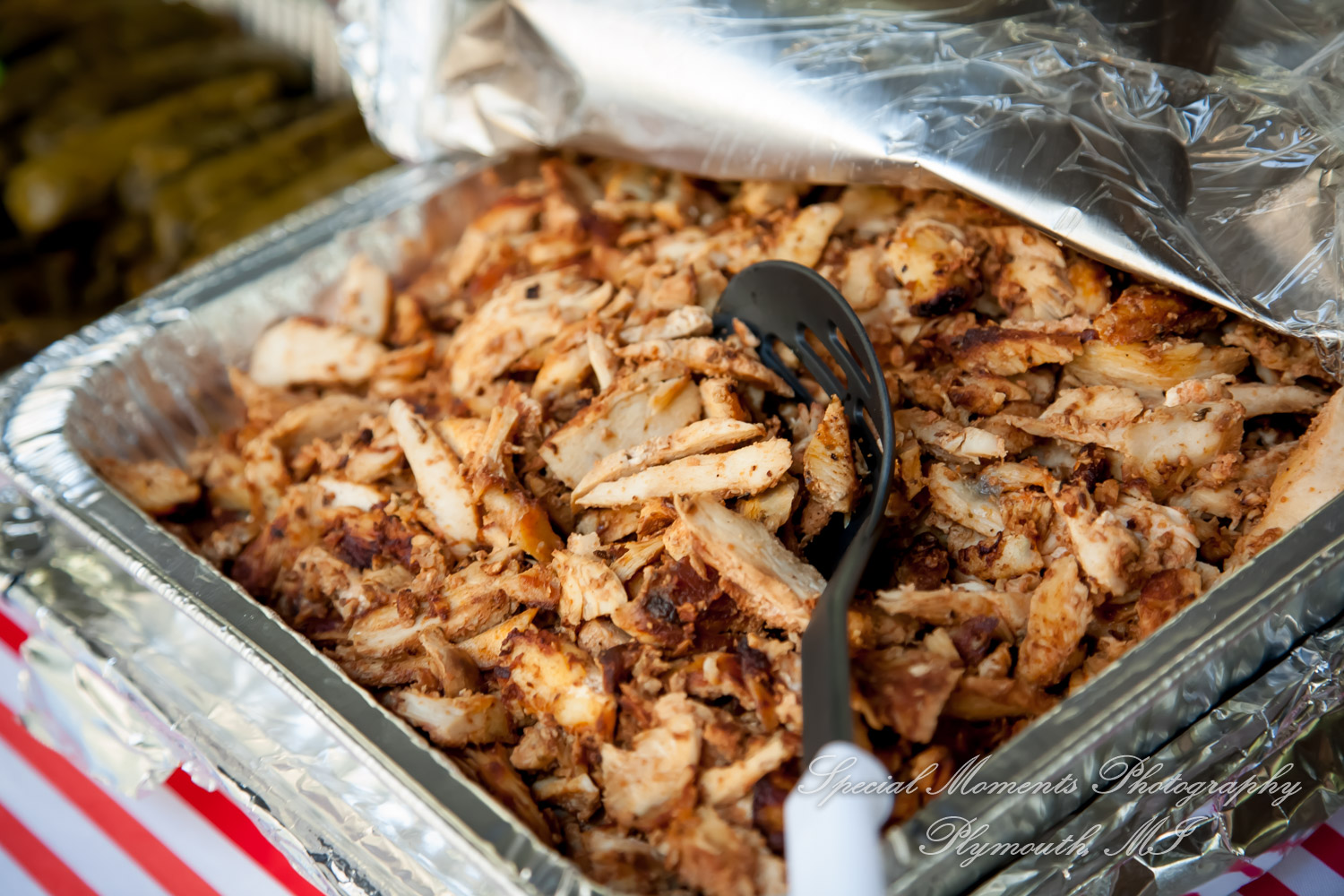 Travis & Jay at Home LGBTQ Wedding Ferndale MI wedding photograph