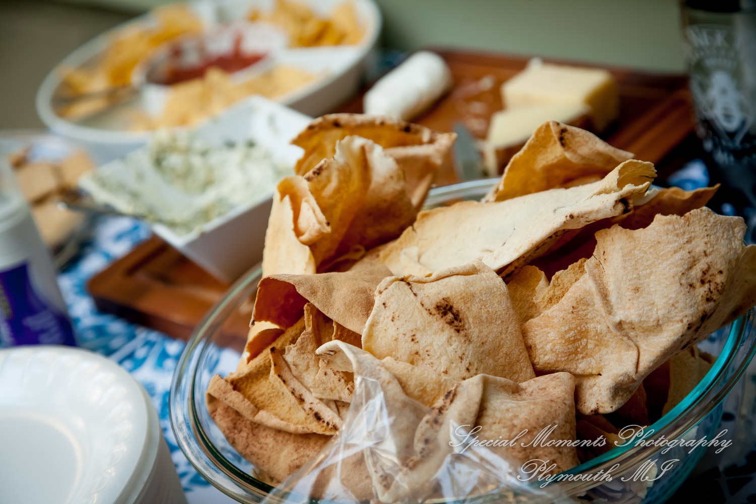 Travis & Jay at Home LGBTQ Wedding Ferndale MI wedding photograph
