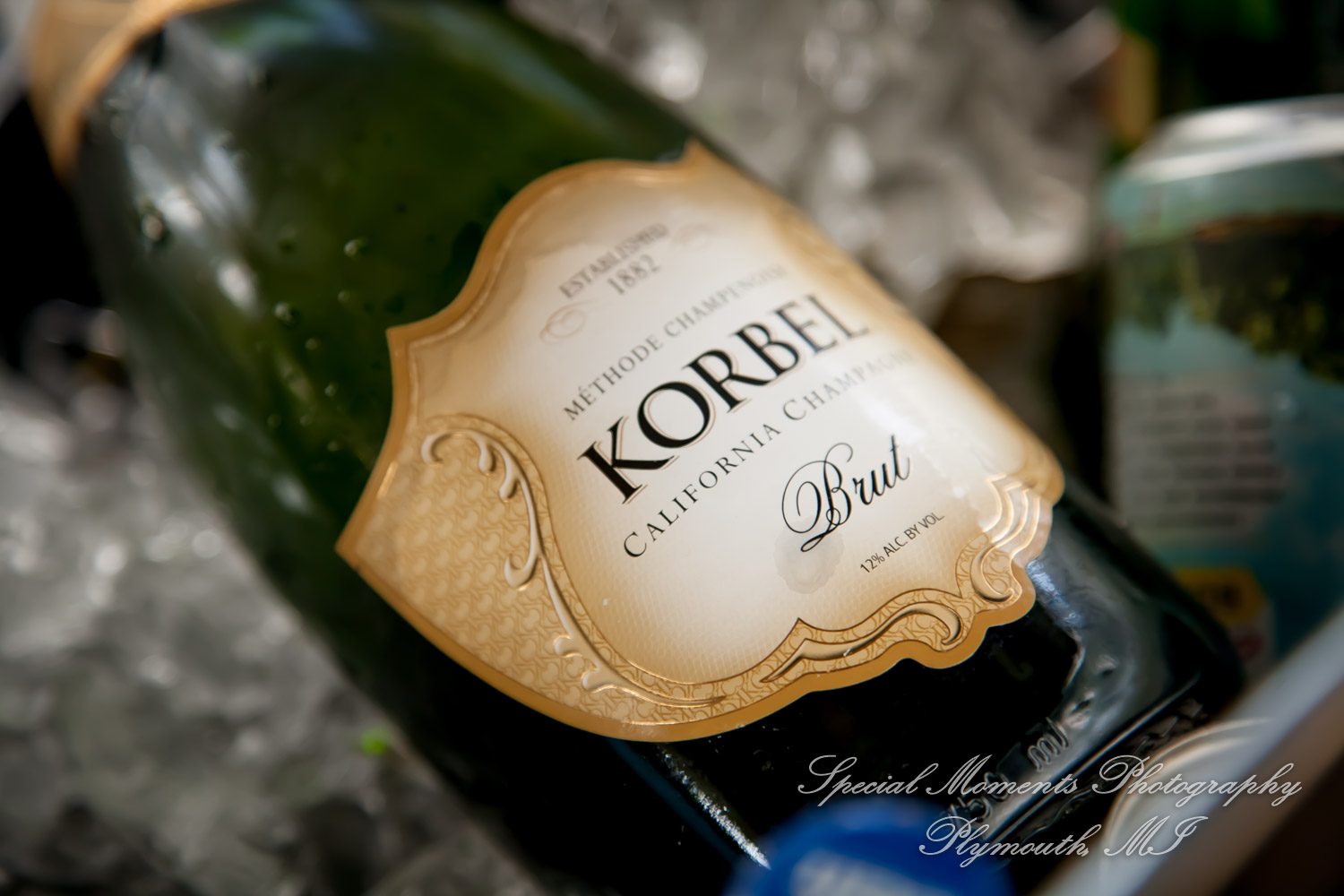 Travis & Jay at Home LGBTQ Wedding Ferndale MI wedding photograph