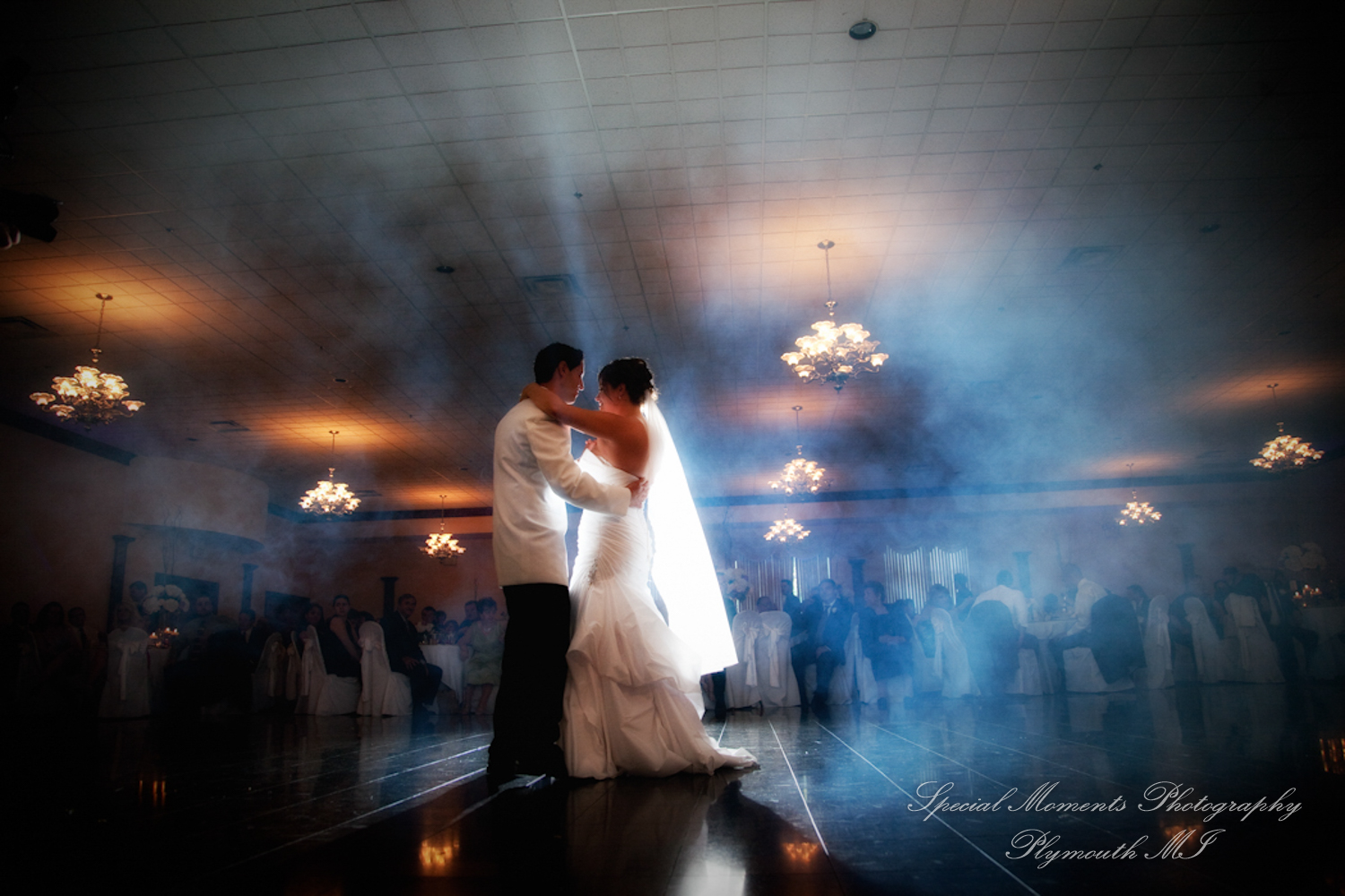 1500 Homepage Macedonian Cultural Center Sterling Heights MI wedding photograph