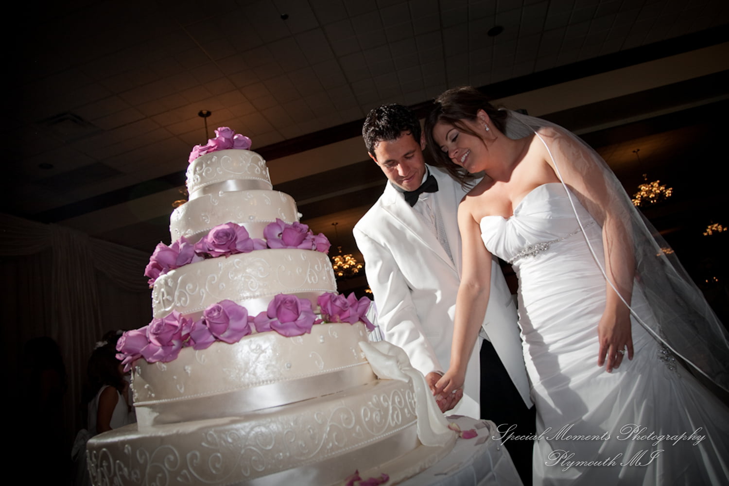 Macedonian Cultural Center Sterling Heights MI wedding photograph