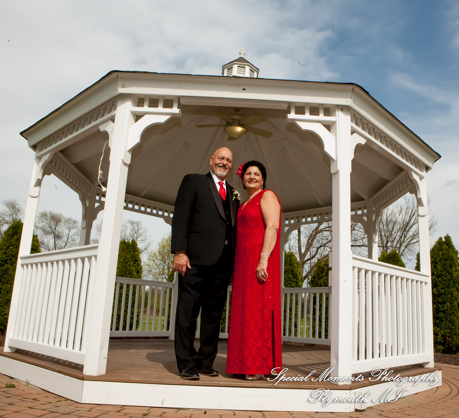 Mary Ann & Tony at Hellenic Cultural Center MI wedding photography