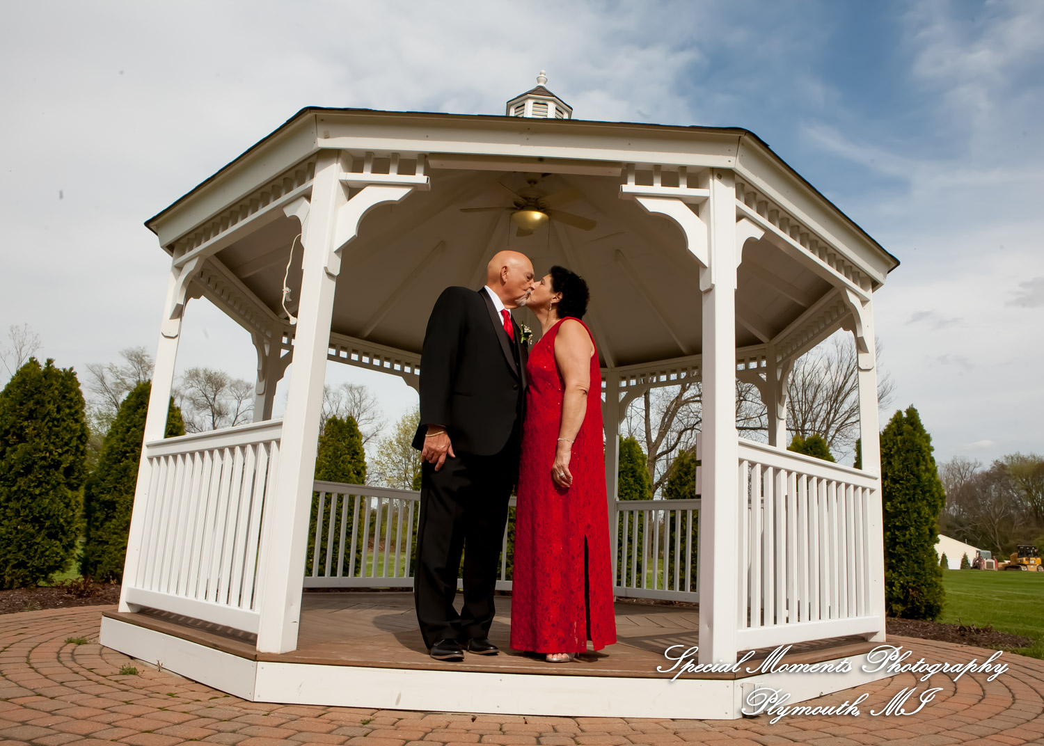 Mary Ann & Tony at Hellenic Cultural Center MI wedding photography
