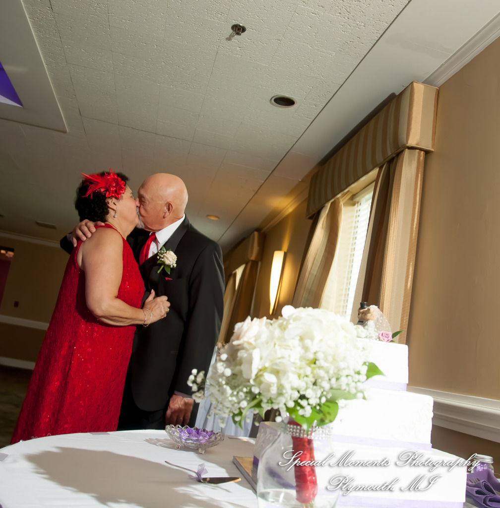 Mary Ann & Tony at Hellenic Cultural Center MI wedding photography