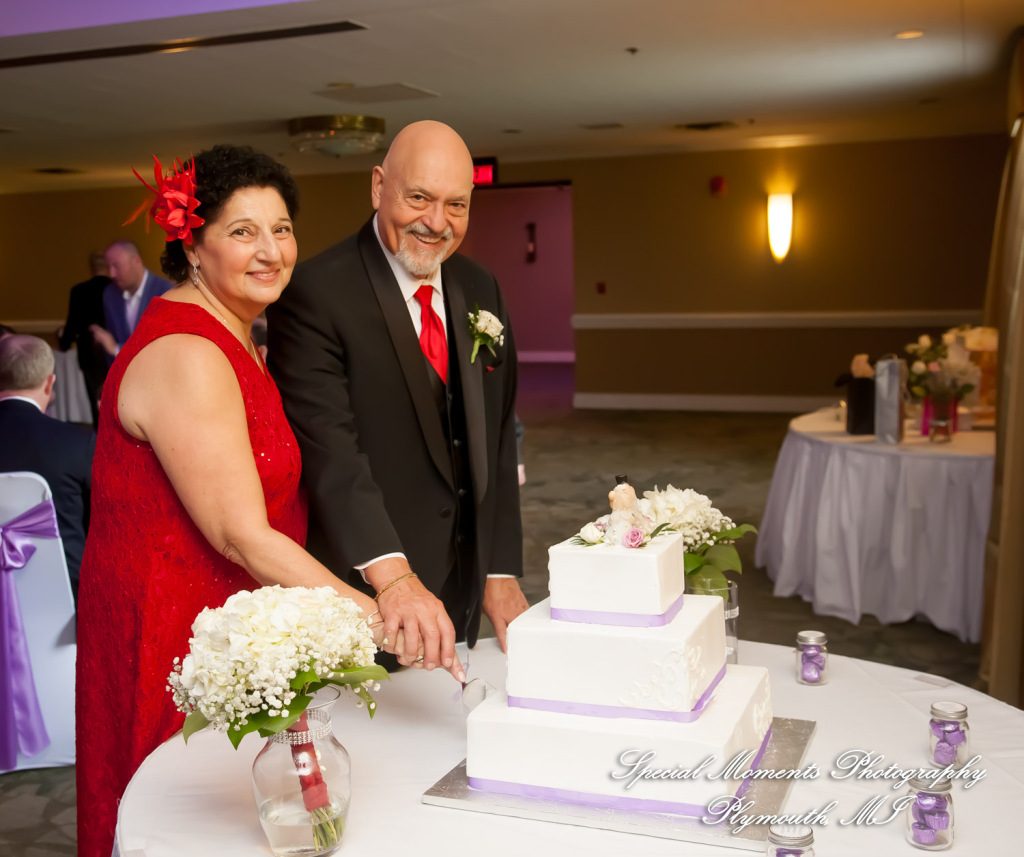 Mary Ann & Tony at Hellenic Cultural Center MI wedding photography