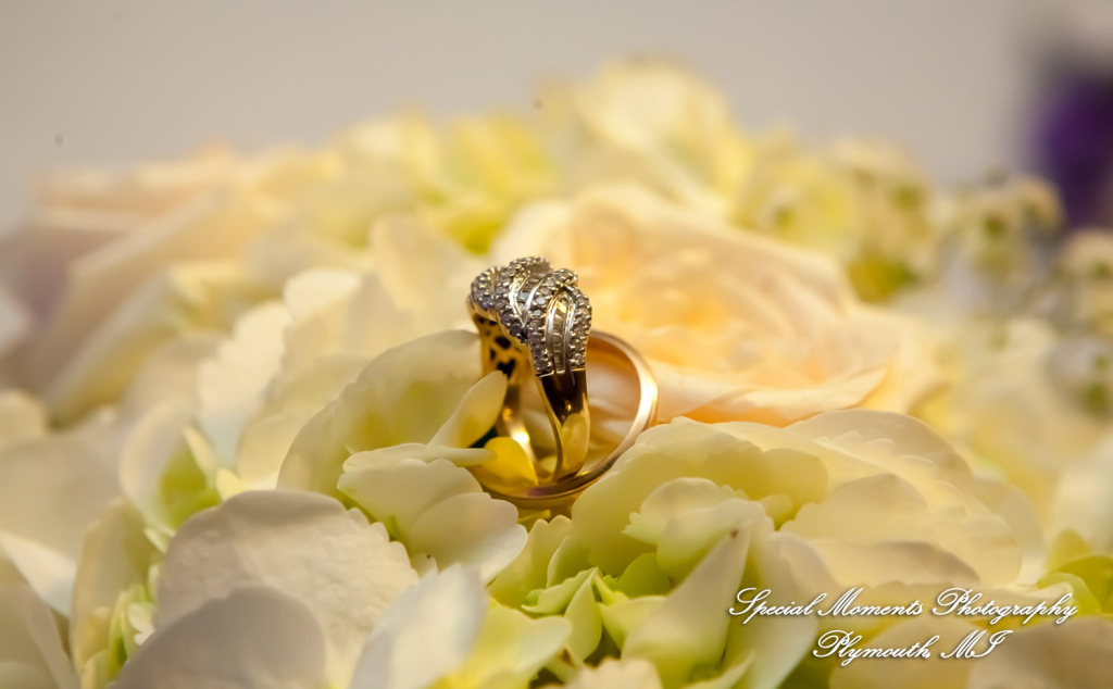 Mary Ann & Tony at Hellenic Cultural Center MI wedding photography