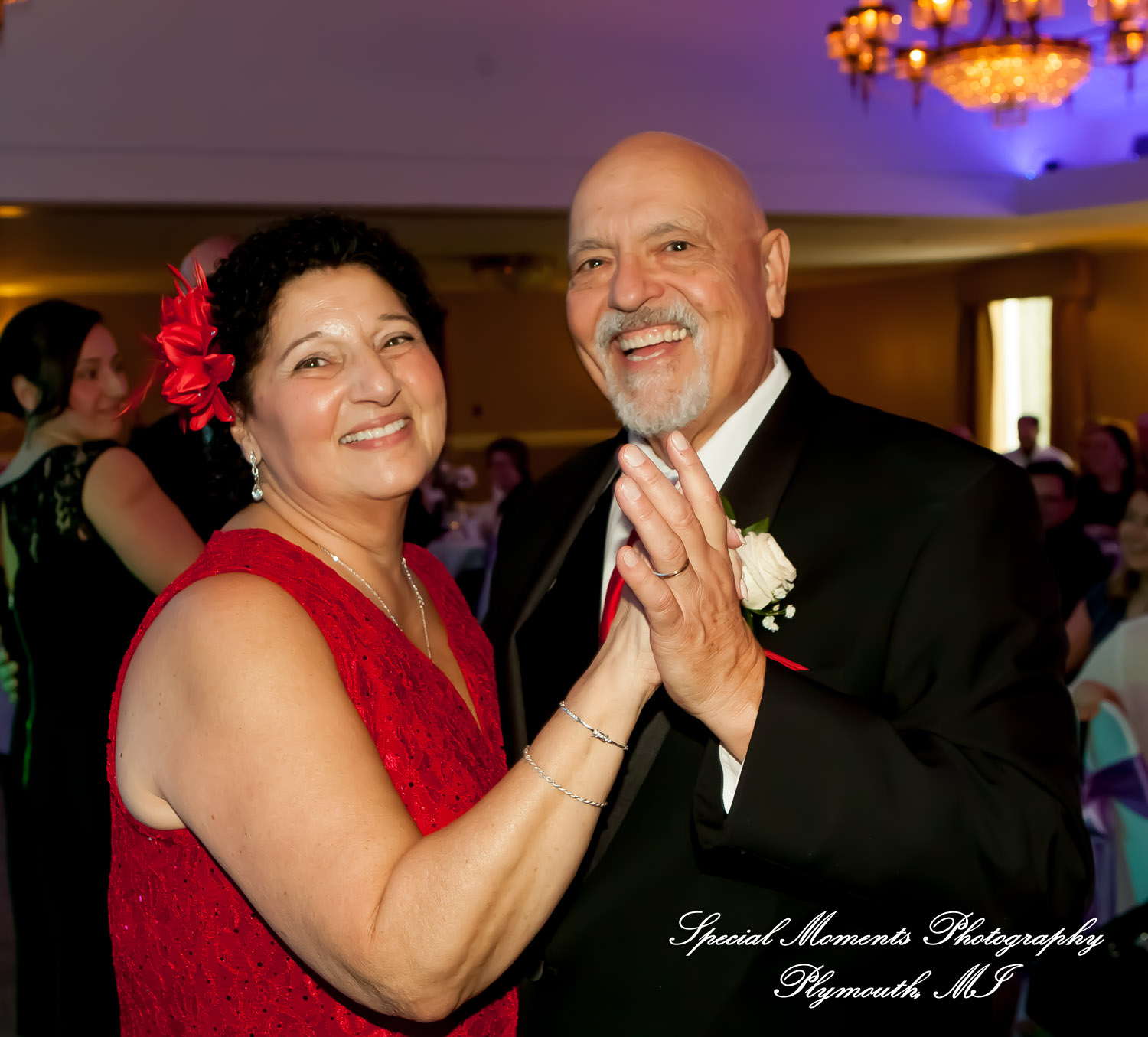 Mary Ann & Tony at Hellenic Cultural Center MI wedding photography