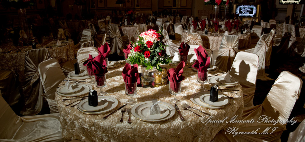 JoAnn & Kevin at Plymouth Manor Banquet Hall Plymouth MI wedding photography