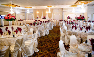 JoAnn & Kevin at Plymouth Manor Banquet Hall Plymouth MI wedding photography