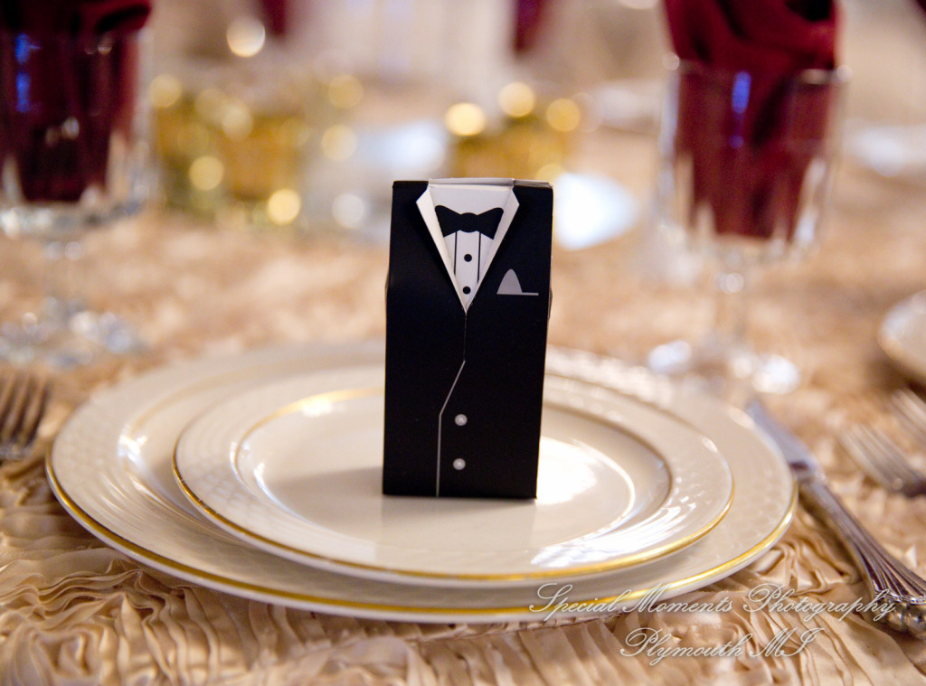 JoAnn & Kevin at Plymouth Manor Banquet Hall Plymouth MI wedding photography