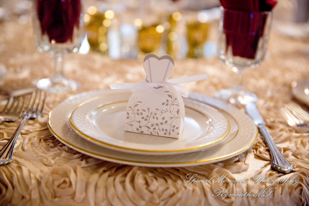 JoAnn & Kevin at Plymouth Manor Banquet Hall Plymouth MI wedding photography