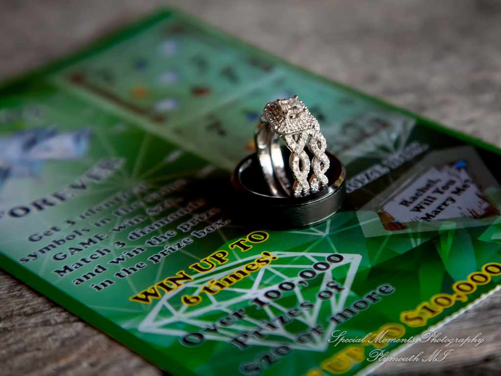 Rachel & Lamar at Sunset Cove Bed & Breakfast Pinkney MI wedding photography