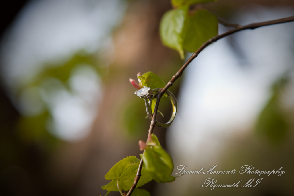 Arielle & Dave at Bandemre Park Ann Arbor MI engagement photography