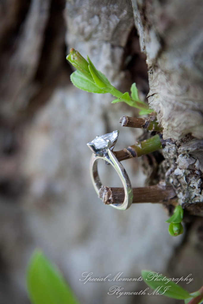 Arielle & Dave at Bandemre Park Ann Arbor MI engagement photography