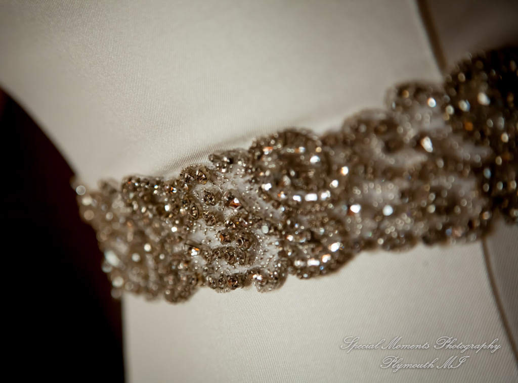 Rachel & Lamar at Sunset Cove Bed & Breakfast Pinkney MI wedding photography