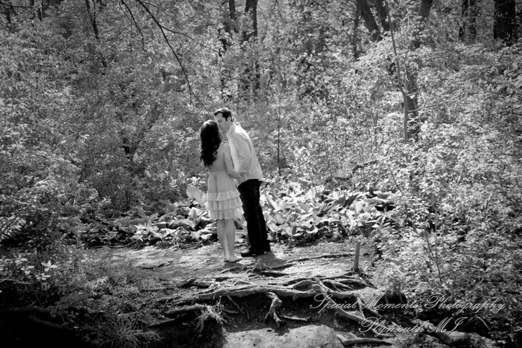 Arielle & Dave at Bandemre Park Ann Arbor MI engagement photography