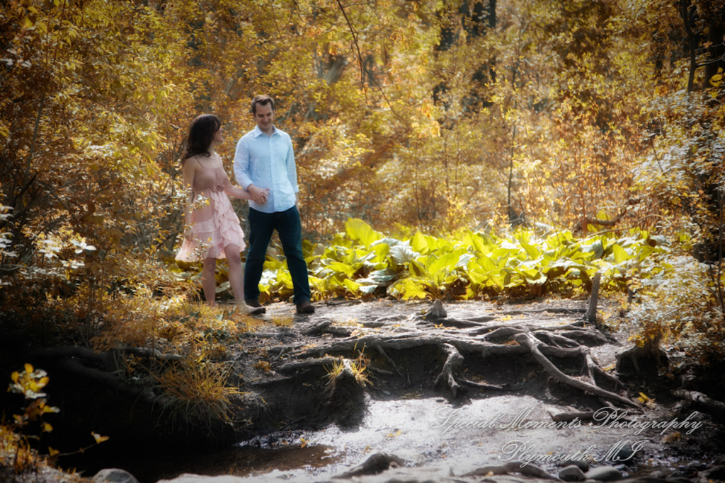 Arielle & Dave at Bandemre Park Ann Arbor MI engagement photography