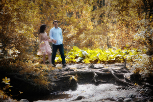 Arielle & Dave at Bandemre Park Ann Arbor MI engagement photography