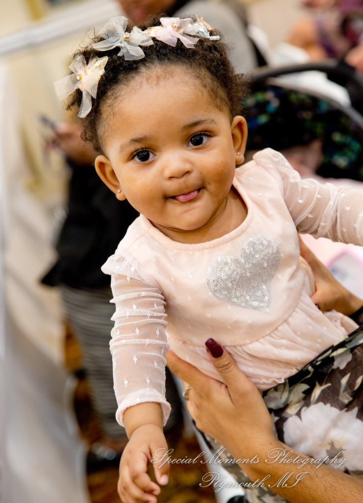 JoAnn & Kevin at Plymouth Manor Banquet Hall Plymouth MI wedding photography