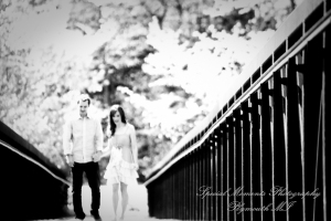 Arielle & Dave at Bandemre Park Ann Arbor MI engagement photography