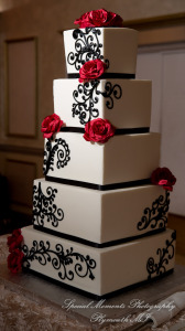 JoAnn & Kevin at Plymouth Manor Banquet Hall Plymouth MI wedding photography