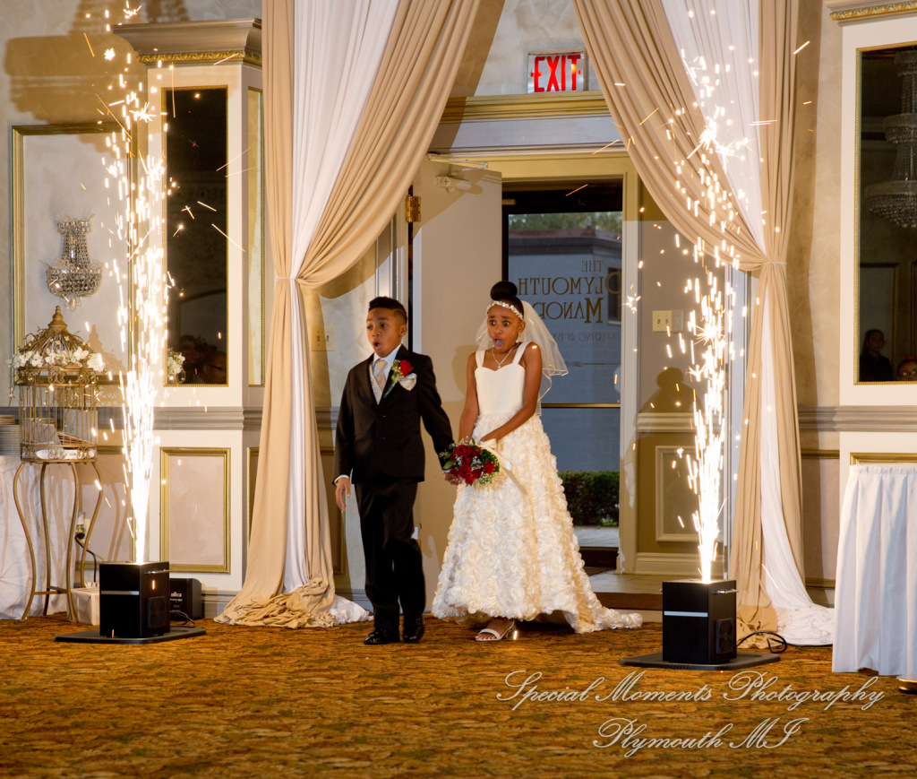 JoAnn & Kevin at Plymouth Manor Banquet Hall Plymouth MI wedding photography