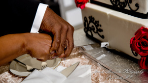 JoAnn & Kevin at Plymouth Manor Banquet Hall Plymouth MI wedding photography