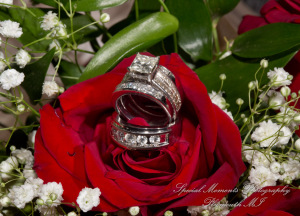 JoAnn & Kevin at Plymouth Manor Banquet Hall Plymouth MI wedding photography