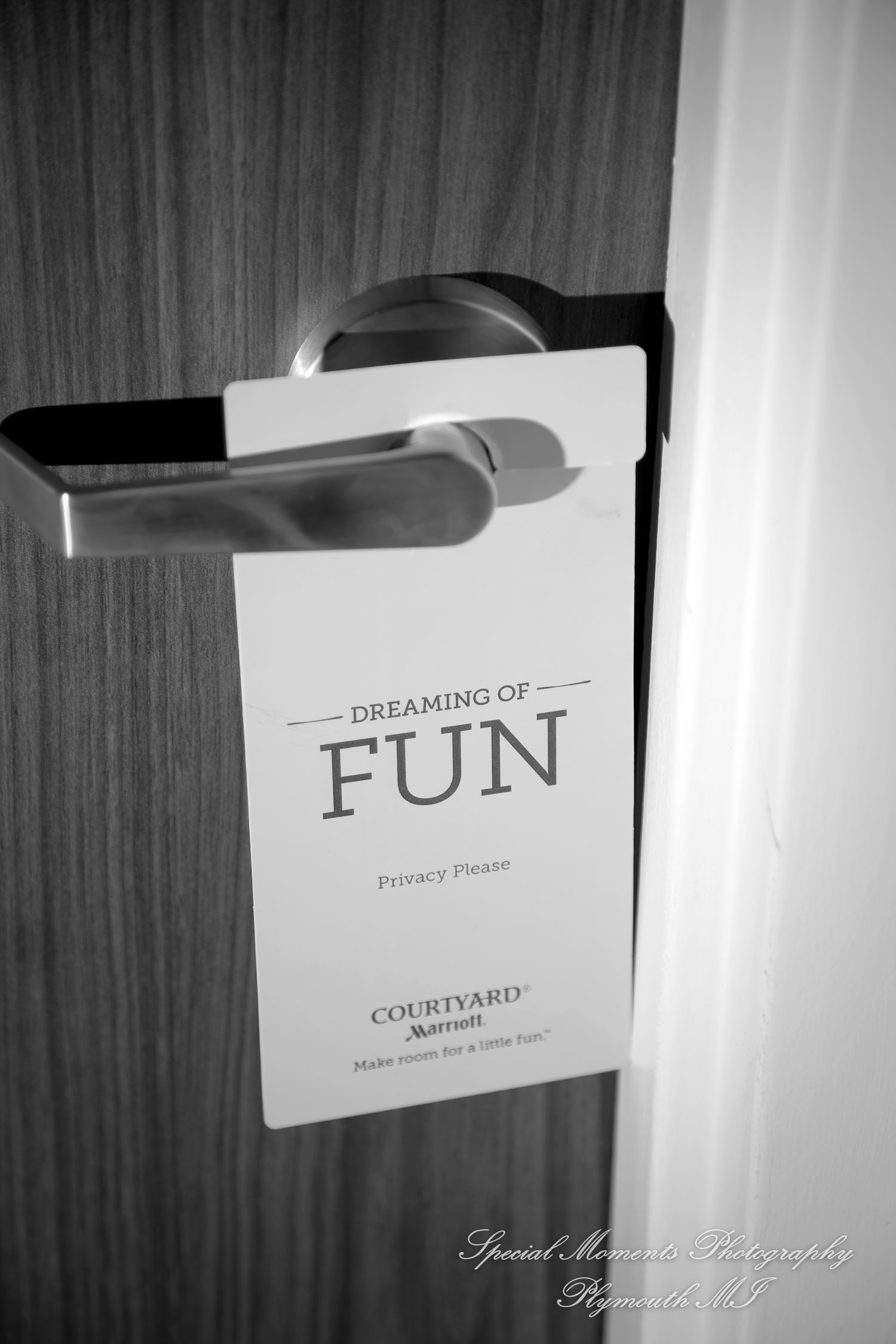 Anne & Alan at American Polish Cultural Center Troy MI wedding photography