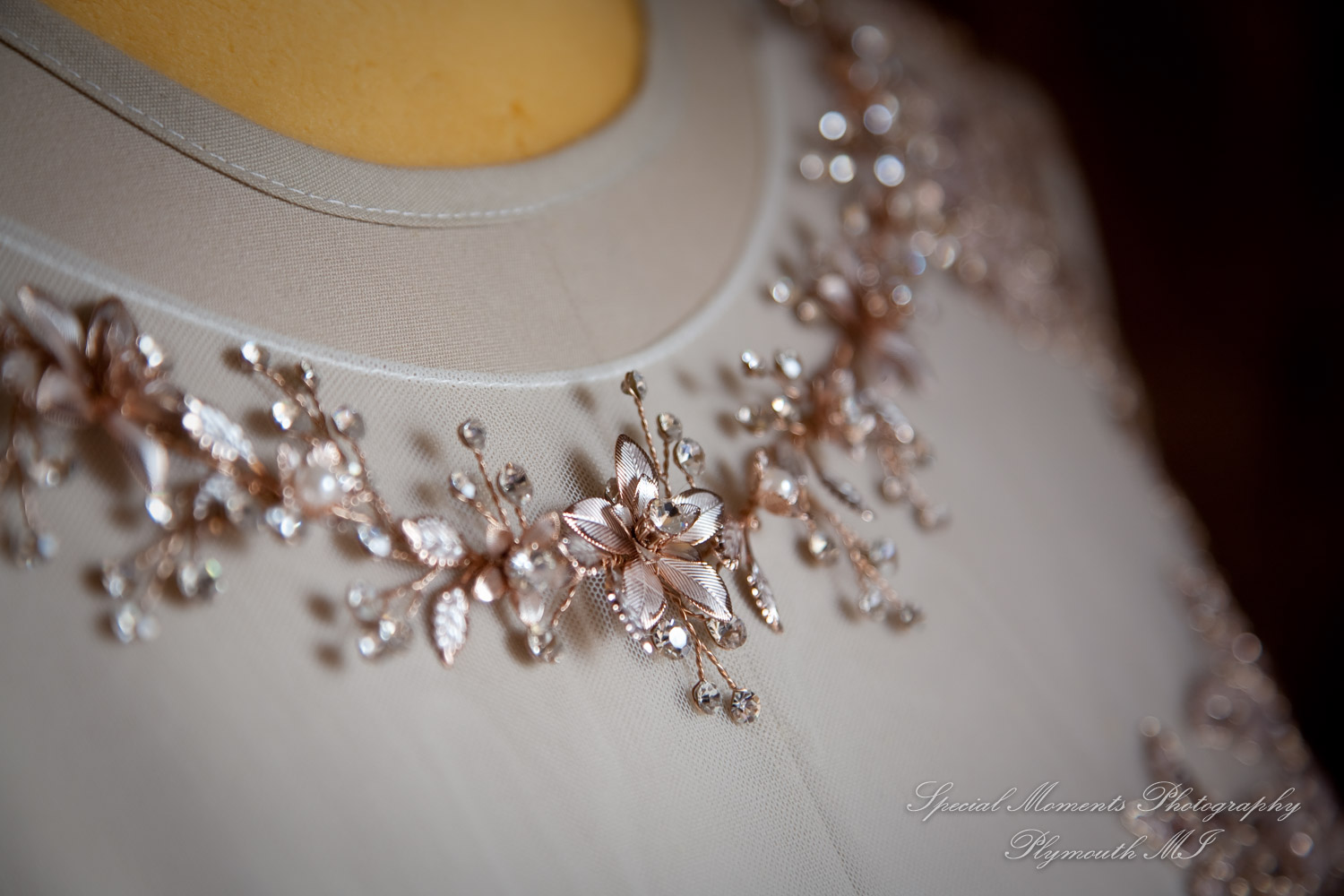 Anne & Alan at American Polish Cultural Center Troy MI wedding photography