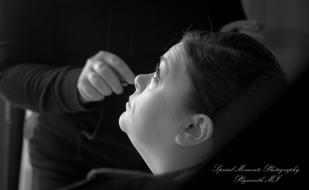 Anne & Alan at American Polish Cultural Center Troy MI wedding photography