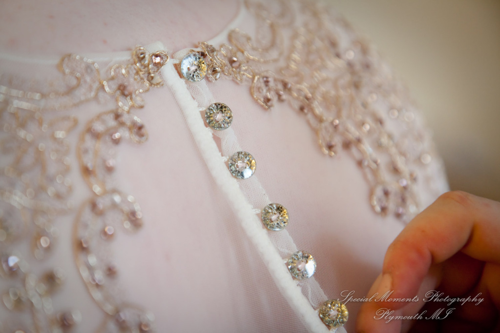 Anne & Alan at American Polish Cultural Center Troy MI wedding photography