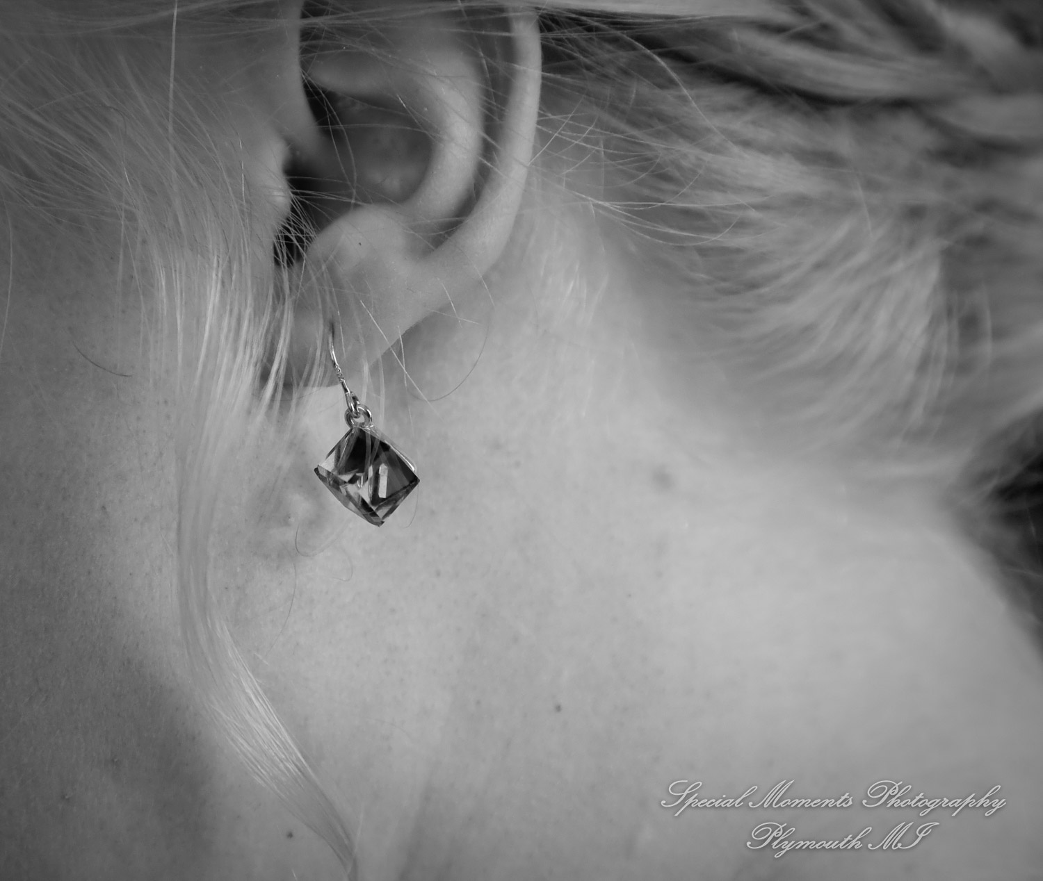 Anne & Alan at American Polish Cultural Center Troy MI wedding photography